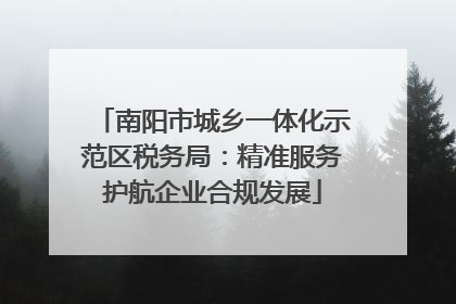 南阳市城乡一体化示范区税务局：精准服务护航企业合规发展