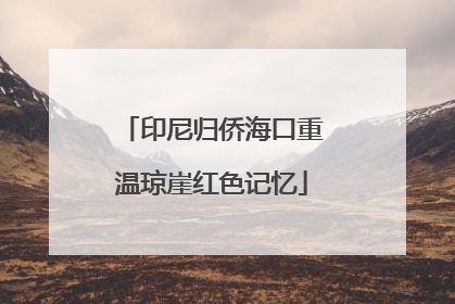印尼归侨海口重温琼崖红色记忆