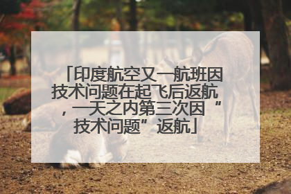 印度航空又一航班因技术问题在起飞后返航，一天之内第三次因“技术问题”返航