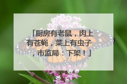 厨房有老鼠，肉上有苍蝇，菜上有虫子，市监局：下架！