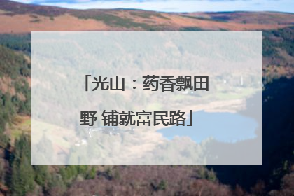 光山：药香飘田野 铺就富民路