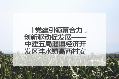 党建引领聚合力，创新驱动促发展——中建五局淄博经济开发区沣水镇高西村安置项目建设纪实