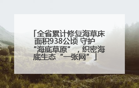 全省累计修复海草床面积938公顷 守护“海底草原”，织密海底生态“一张网”