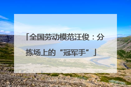 全国劳动模范汪俊：分拣场上的“冠军手”