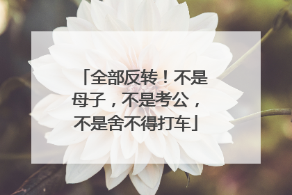 全部反转！不是母子，不是考公，不是舍不得打车