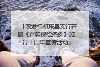 农发行祁东县支行开展《存款保险条例》施行十周年宣传活动