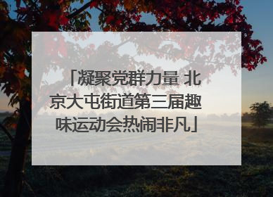 凝聚党群力量 北京大屯街道第三届趣味运动会热闹非凡