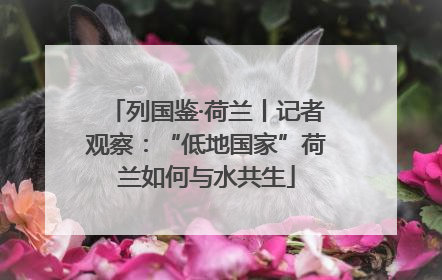 列国鉴·荷兰丨记者观察：“低地国家”荷兰如何与水共生