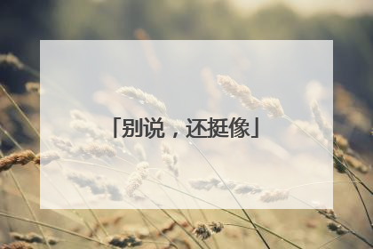 别说，还挺像