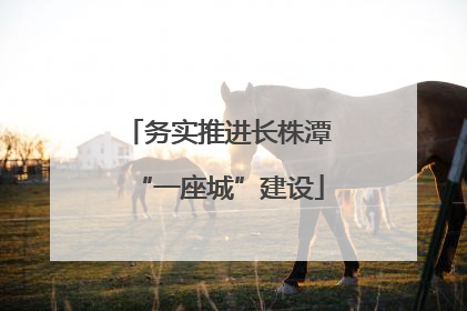 务实推进长株潭“一座城”建设