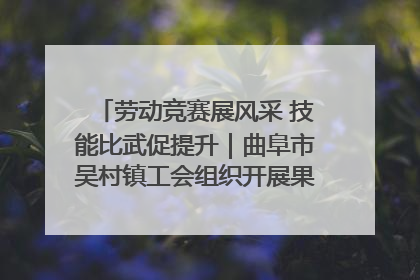 劳动竞赛展风采 技能比武促提升｜曲阜市吴村镇工会组织开展果树套袋技能竞赛