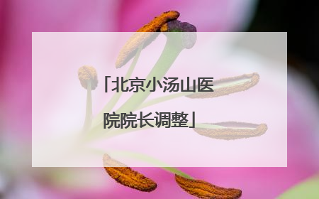 北京小汤山医院院长调整
