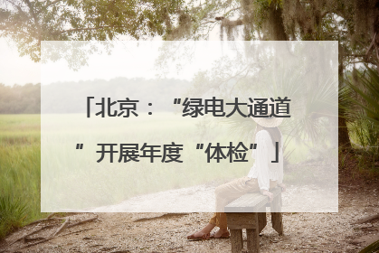 北京：“绿电大通道”开展年度“体检”