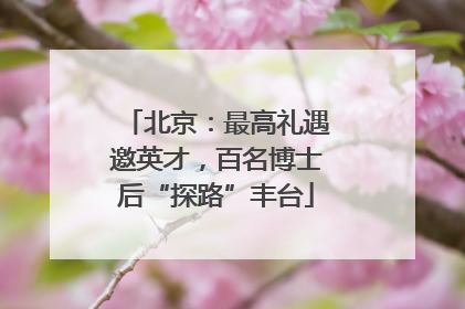 北京：最高礼遇邀英才，百名博士后“探路”丰台