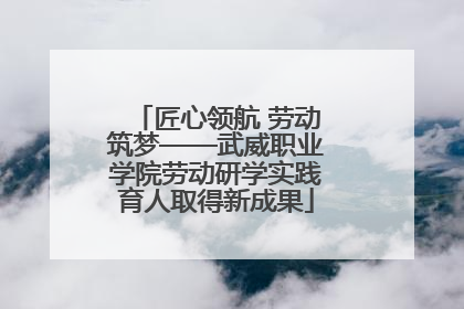 匠心领航 劳动筑梦——武威职业学院劳动研学实践育人取得新成果