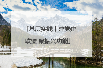 基层实践丨建党建联盟 聚振兴功能
