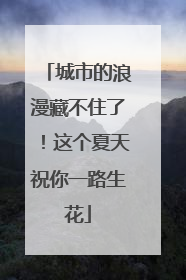 城市的浪漫藏不住了！这个夏天祝你一路生花