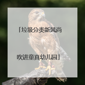 垃圾分类新风尚 吹进童真幼儿园