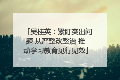 吴桂英：紧盯突出问题 从严整改整治 推动学习教育见行见效