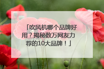 吹风机哪个品牌好用？揭秘数万网友力荐的10大品牌！