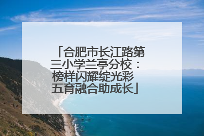 合肥市长江路第三小学兰亭分校：榜样闪耀绽光彩 五育融合助成长