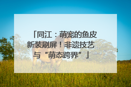 同江：萌宠的鱼皮新装刷屏！非遗技艺与“萌态跨界”