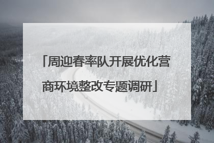 周迎春率队开展优化营商环境整改专题调研