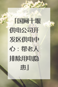 国网十堰供电公司开发区供电中心：帮老人排除用电隐患