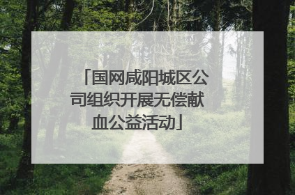 国网咸阳城区公司组织开展无偿献血公益活动