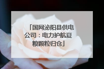 国网泌阳县供电公司：电力护航夏粮颗粒归仓