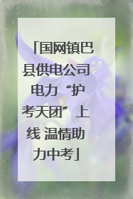 国网镇巴县供电公司 电力“护考天团”上线 温情助力中考