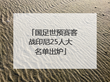 国足世预赛客战印尼25人大名单出炉