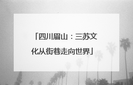 四川眉山：三苏文化从街巷走向世界