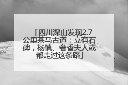 四川深山发现2.7公里茶马古道：立有石碑，杨慎、奢香夫人或都走过这条路