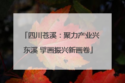 四川苍溪：聚力产业兴东溪 擘画振兴新画卷