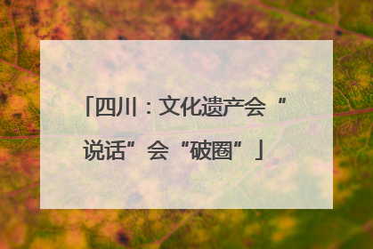 四川：文化遗产会“说话”会“破圈”