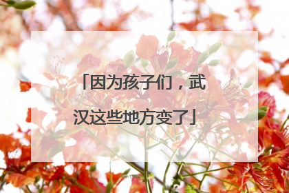 因为孩子们，武汉这些地方变了