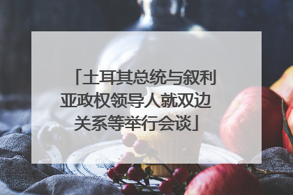 土耳其总统与叙利亚政权领导人就双边关系等举行会谈
