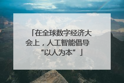 在全球数字经济大会上，人工智能倡导“以人为本”