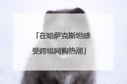 在哈萨克斯坦感受跨境网购热潮