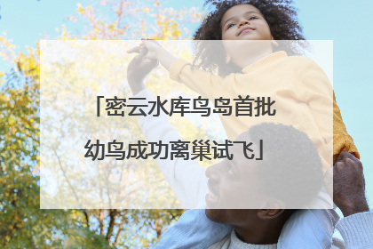密云水库鸟岛首批幼鸟成功离巢试飞