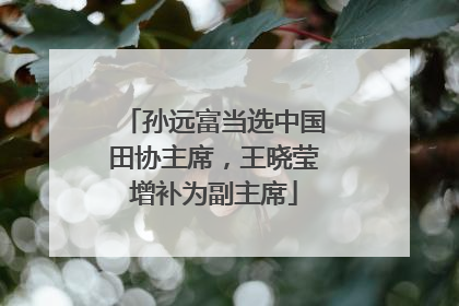 孙远富当选中国田协主席，王晓莹增补为副主席
