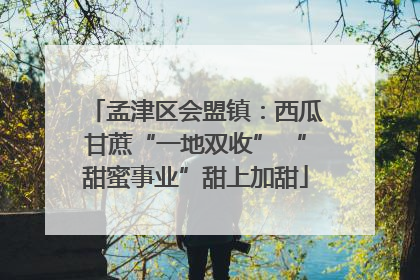 孟津区会盟镇：西瓜甘蔗“一地双收” “甜蜜事业”甜上加甜