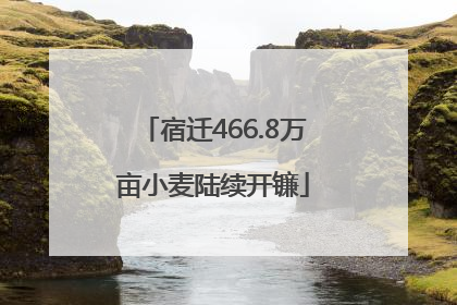 宿迁466.8万亩小麦陆续开镰