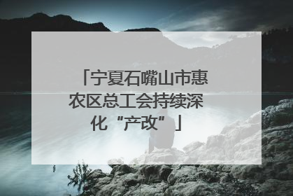 宁夏石嘴山市惠农区总工会持续深化“产改”