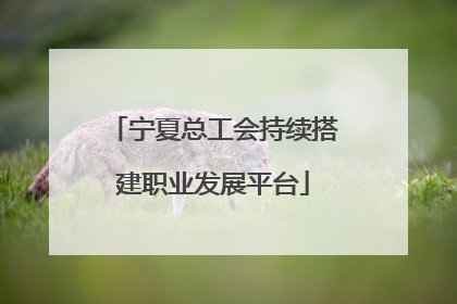 宁夏总工会持续搭建职业发展平台