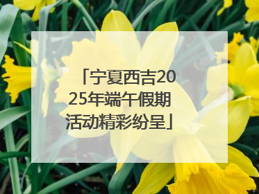 宁夏西吉2025年端午假期活动精彩纷呈