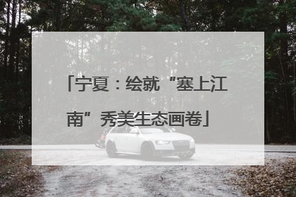 宁夏：绘就“塞上江南”秀美生态画卷