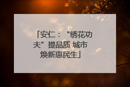 安仁：“绣花功夫”提品质 城市焕新惠民生