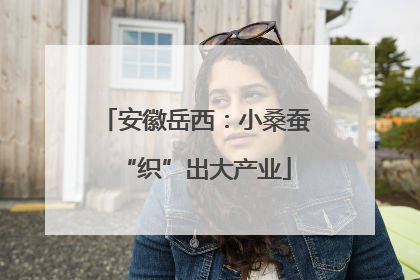 安徽岳西：小桑蚕“织”出大产业